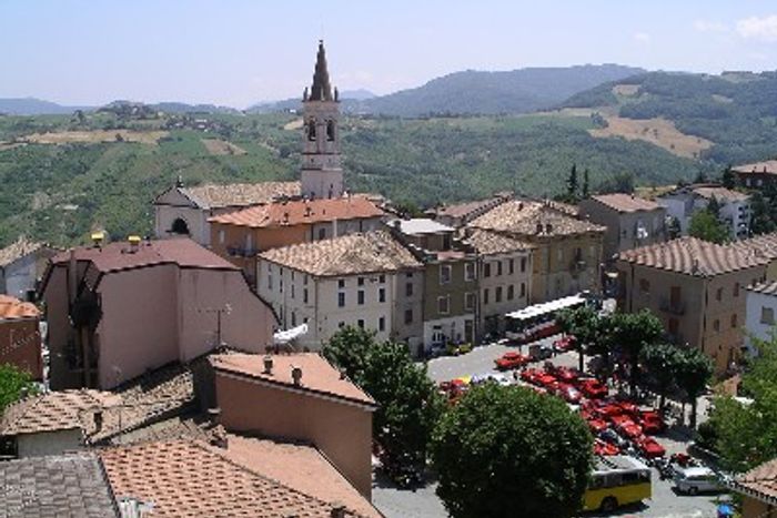 Miscellaneous Gallery 1